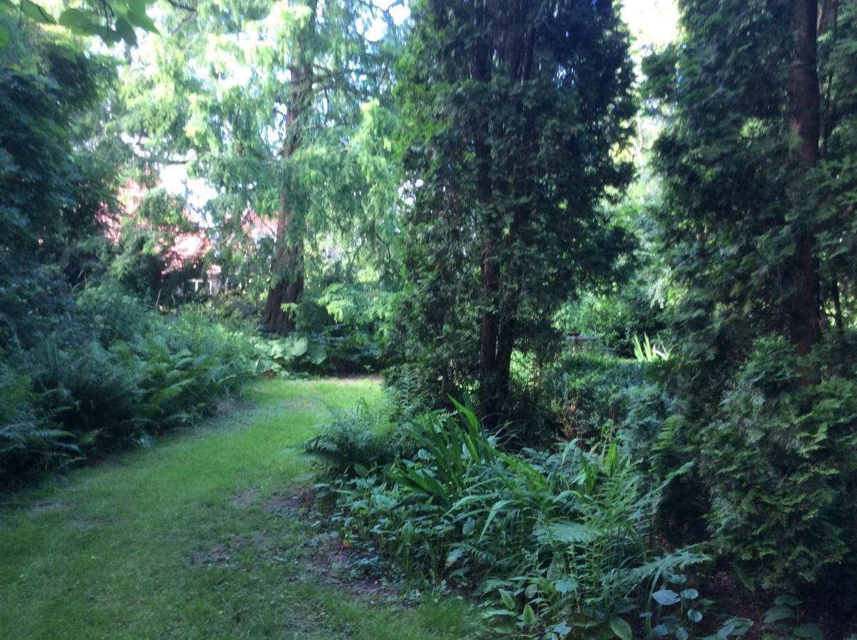 Villa Laurelin, Lothorien Noordwolde  エクステリア 写真